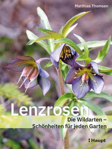Thumbnail - Lenzrosen Die Wildarten - Schönheiten Für Jeden Garten 6604