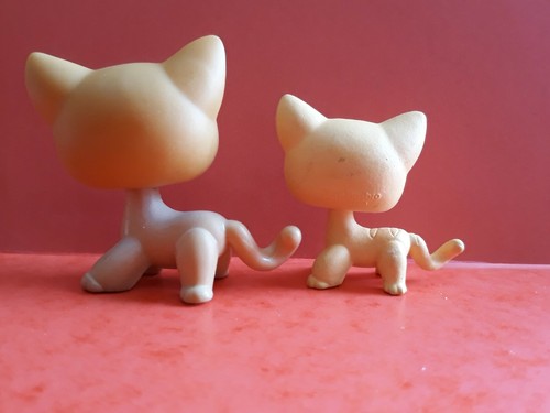 Littlest Petshop Lps Chat Europeen Ebay