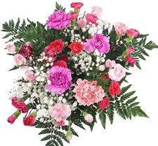 Homeland Florists Flowers Delivery Next Day Prime UK - Pink M, / White 