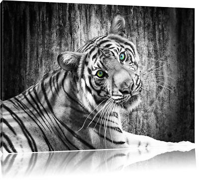 schöner Tiger schwarz/weiß Leinwandbild Wanddeko Kunstdruck