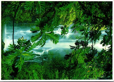 6x4'' Postcard Waterfall at Kipahulu - Maui's Lush Rain Forests - Hawaii