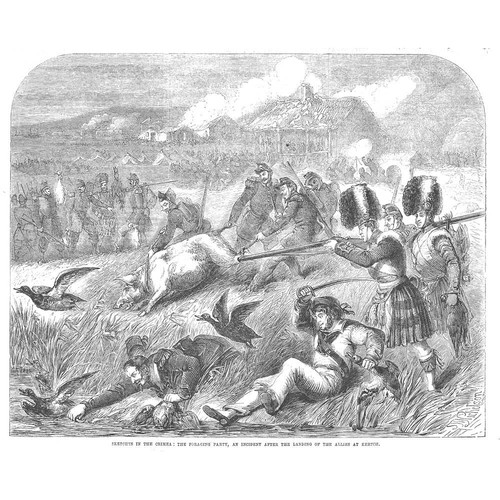 CRIMEAN WAR Foraging Party at Kerch - Antique Print 1855