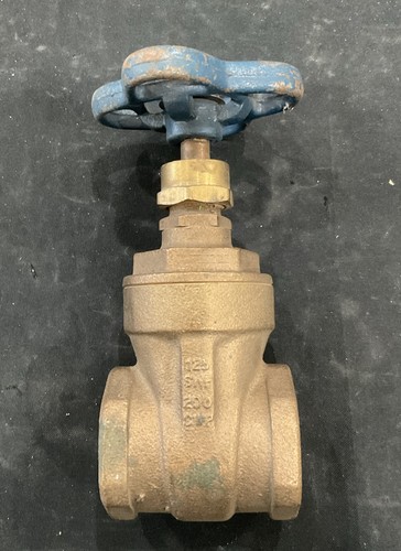 Nibco 1 1/4” Gate Valve Brass 200 SWP T-113