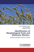 Haitham Mohyeldein Elsayed (U. A.) | Identification Of Morphological Traits...