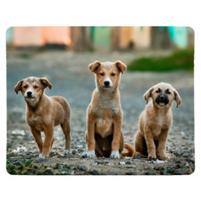 XL Design Your Own Custom Placemat Personalised MDF Cork Any Text And Photo