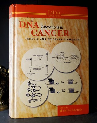 DNA Alterations in Cancer : Genetic and Epigenetic Changes by Melanie Ehrlich...