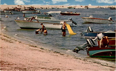 Surf City, Lincoln, United States, Berkeley, California, Water, Beach Postcard