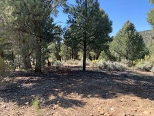 RESIDENTIAL LAND, RV, MOBILE HOME, BIG BEAR LAKE, CALIFORNIA – HIGH BID WINS!