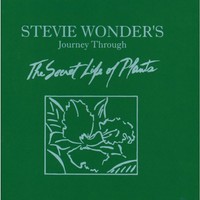 Stevie Wonder: Stevie Wonder: Journey Through The Secret Life - - (Cd / J)