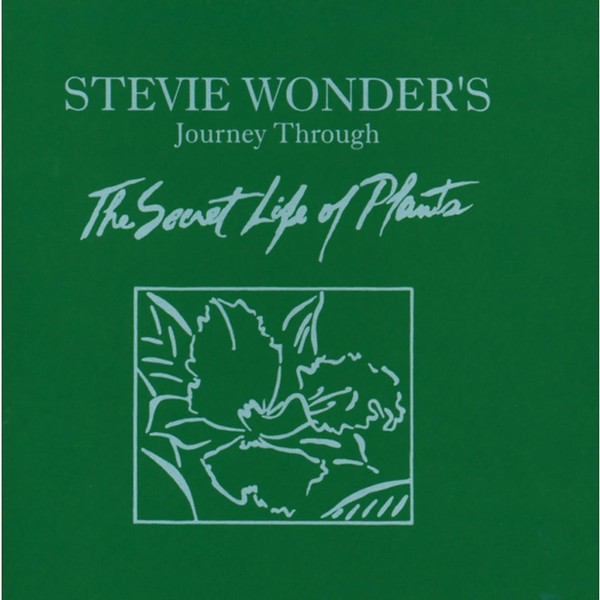 Stevie Wonder: Stevie Wonder: Journey Through The Secret Life - - (Cd / J)-image