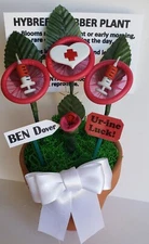 Hybreed Rubber Plant Condom Plant Hilarious Gag Gift Doctor Nurse