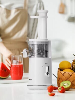 Mini Slow Portable Electric Juicer /Ice Cream Machine 