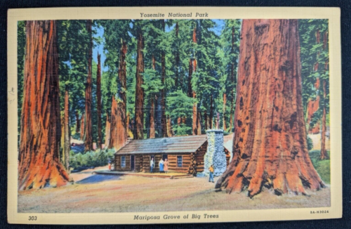 Log Cabin, Mariposa Grove, Yosemite - 1940s Linen - No. 8A-H3024 - Picture 1 of 2