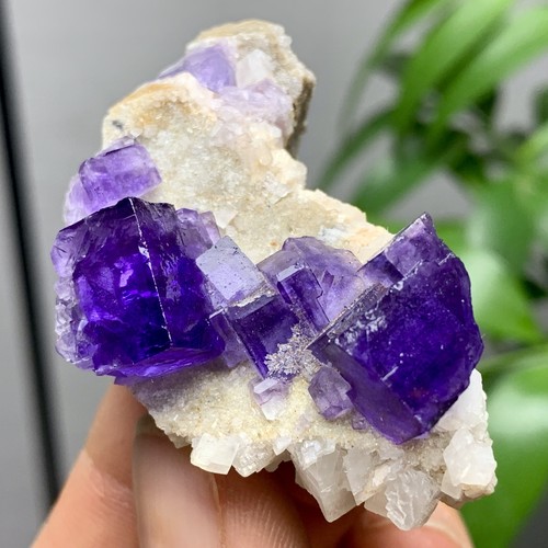 36G Natürliche Transparente Lila Kubische Fluorit Mineral Probe Innere Mongolei - Bild 7 von 21