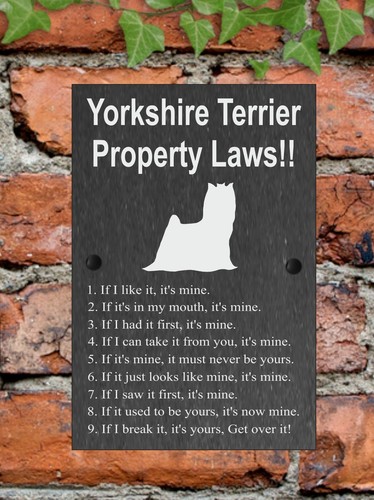 Property Laws Funny Dog Slate Gate House Sign 3 Sizes ALL BREEDS AVAILABLE M-Y - Picture 57 of 57