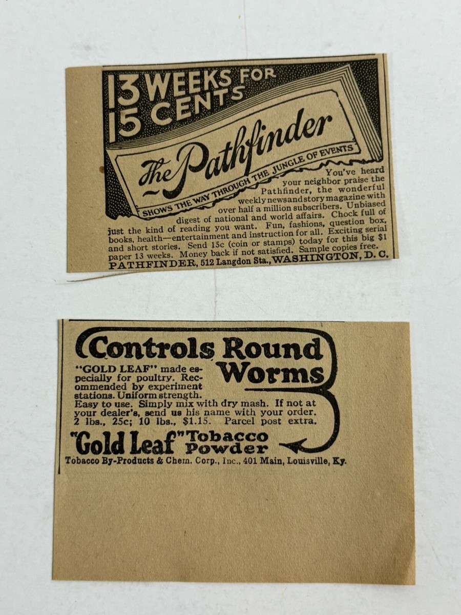 1924 Gold Leaf Tobacco Powder for Poultry 401 Main Louisville Ky paper  print ad
