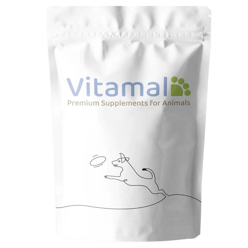 Green Lipped Mussel For Dogs Cartilage Joint Care Arthritis 100G Powder Vitamal