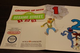 Sesame Street 123 NES Poster Insert Only
