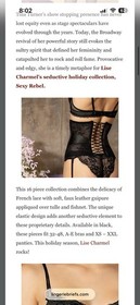 Lise Charmel Sexy Rebelle Corset In Black SZ M NWT