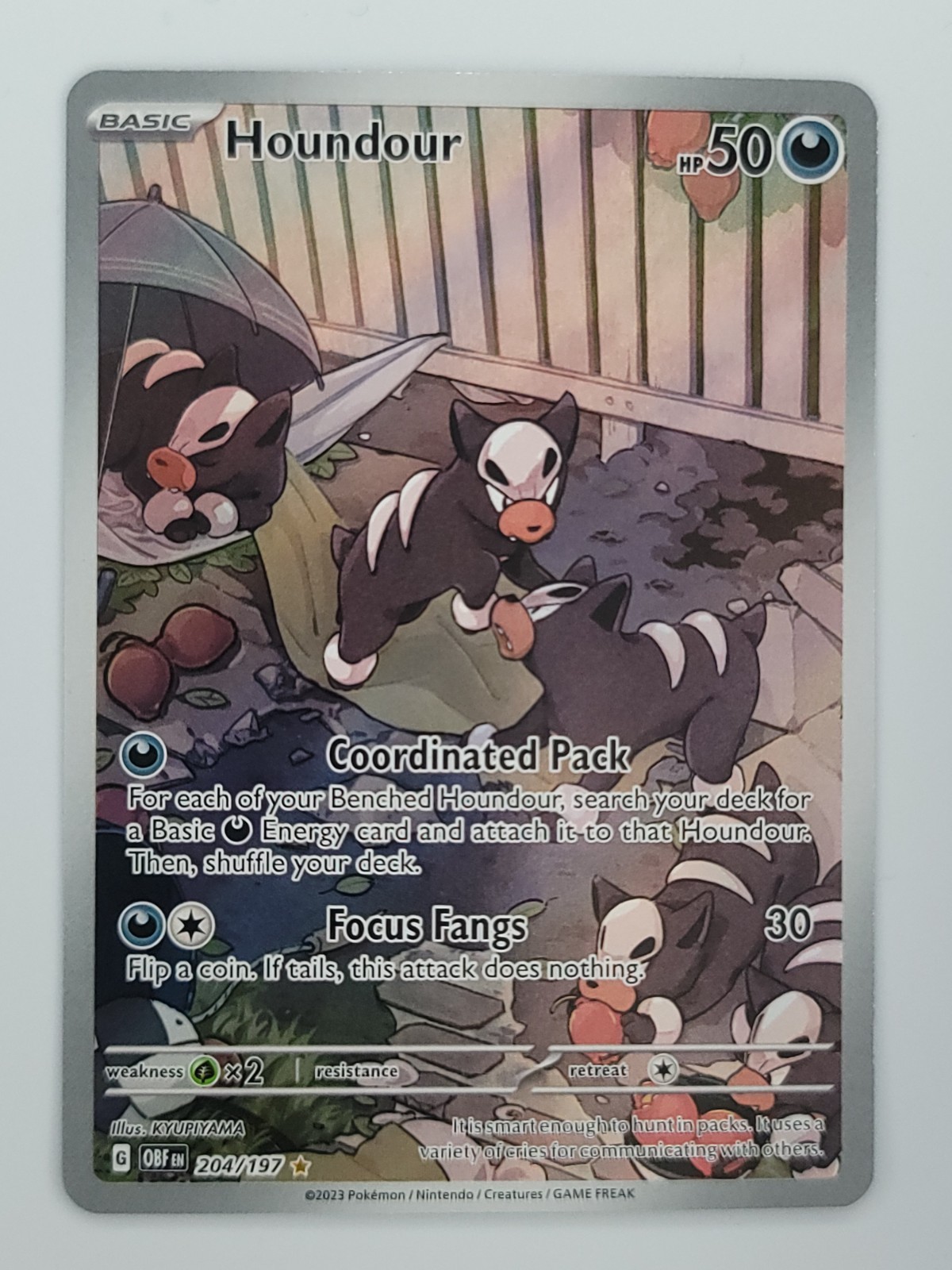 SV03 Obsidian Flames 204/197 Houndour Illustration Rare NM