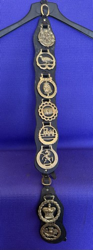 Antique Vintage 8 Horse Solid Brass Medallions On 2 Pieces Of Leather 34”