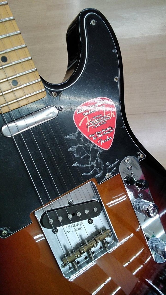 Fender Usa American Special Telecaster | eBay