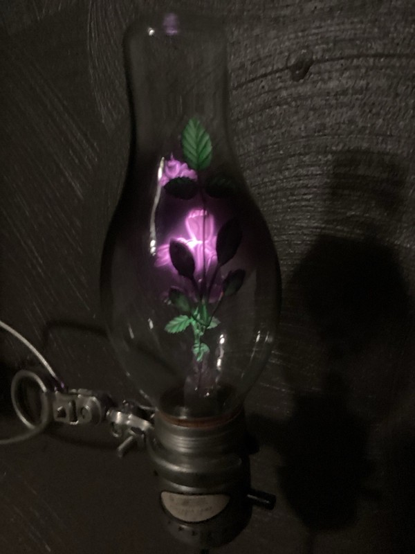 Aerolux Flowers and Leaves Vintage Argon Light Bulb.  1960's