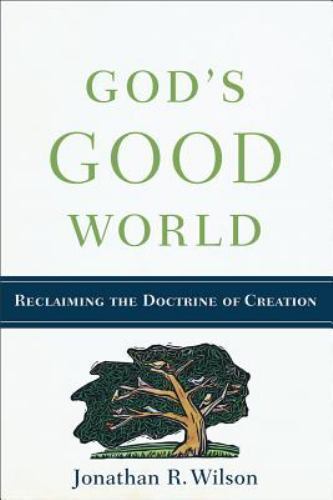 Gods Good World by Jonathan R Wilson PAPERBACK - Image 2