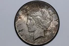 1922-S 90% Silver Peace Dollar Toned Grades About Uncirculated (PDX1447)