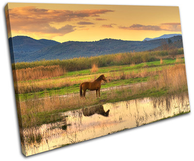 Landscape Horse Countryside Canvas Art Picture Print Decorative Photo Hanging