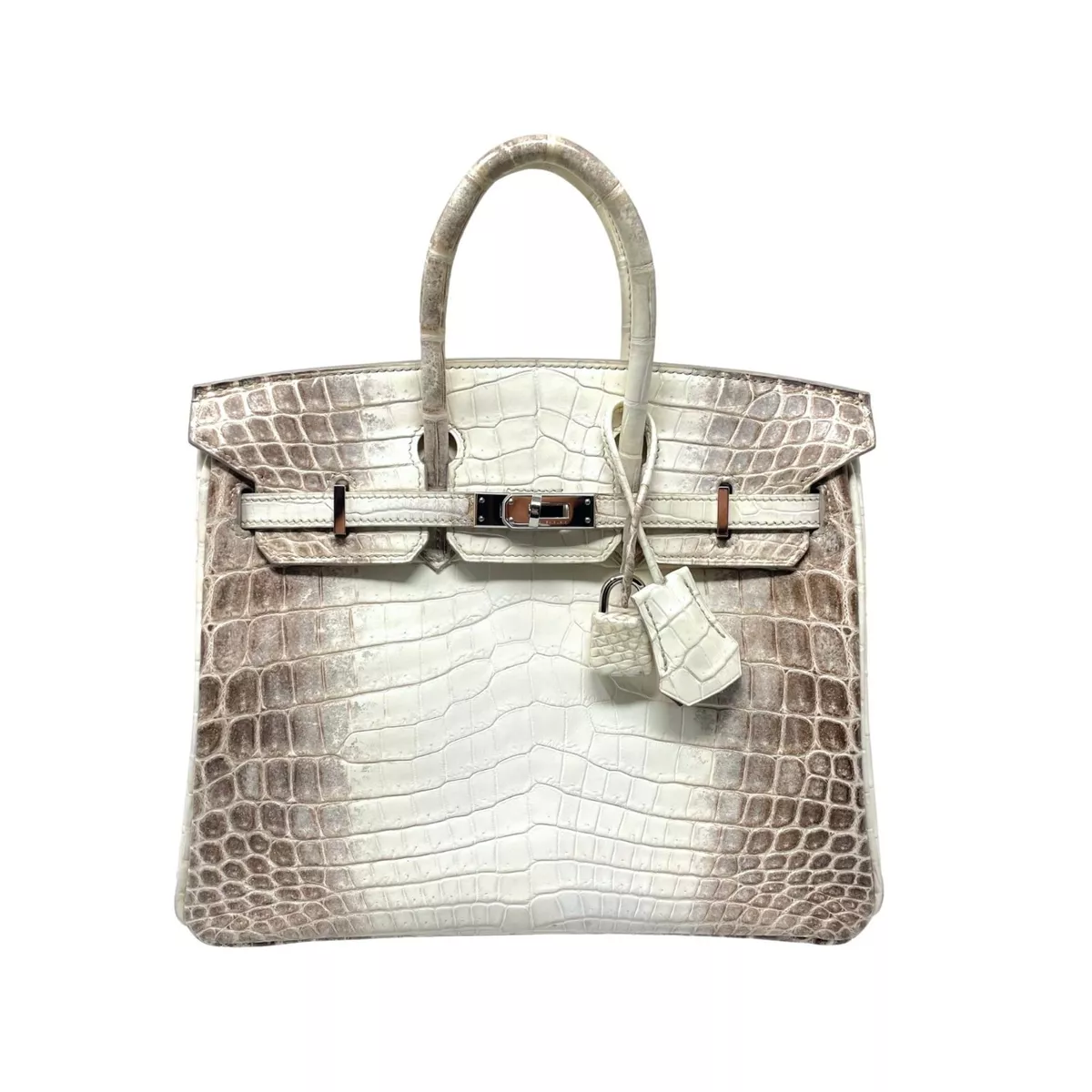 Hermes Birkin 25 Beton Niloticus Mat Matte Palladium Hardware #X