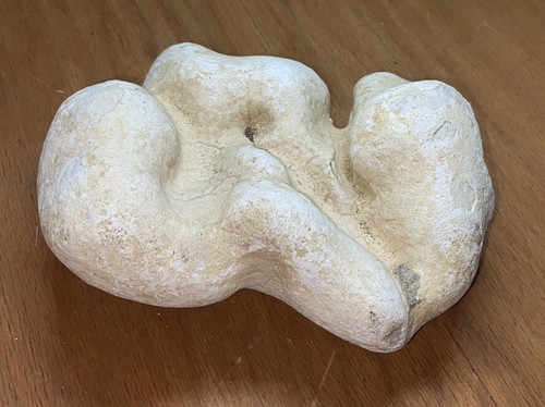 KASCHOLONG Rohstein (1140gr) White Agate, Cacholong rough - Picture 3 of 3