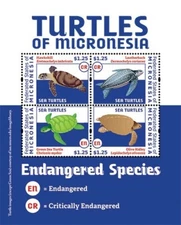 Micronesia 2012 - Turtles Marine Life - Sheet of 4 Stamps - Scott #980 - MNH