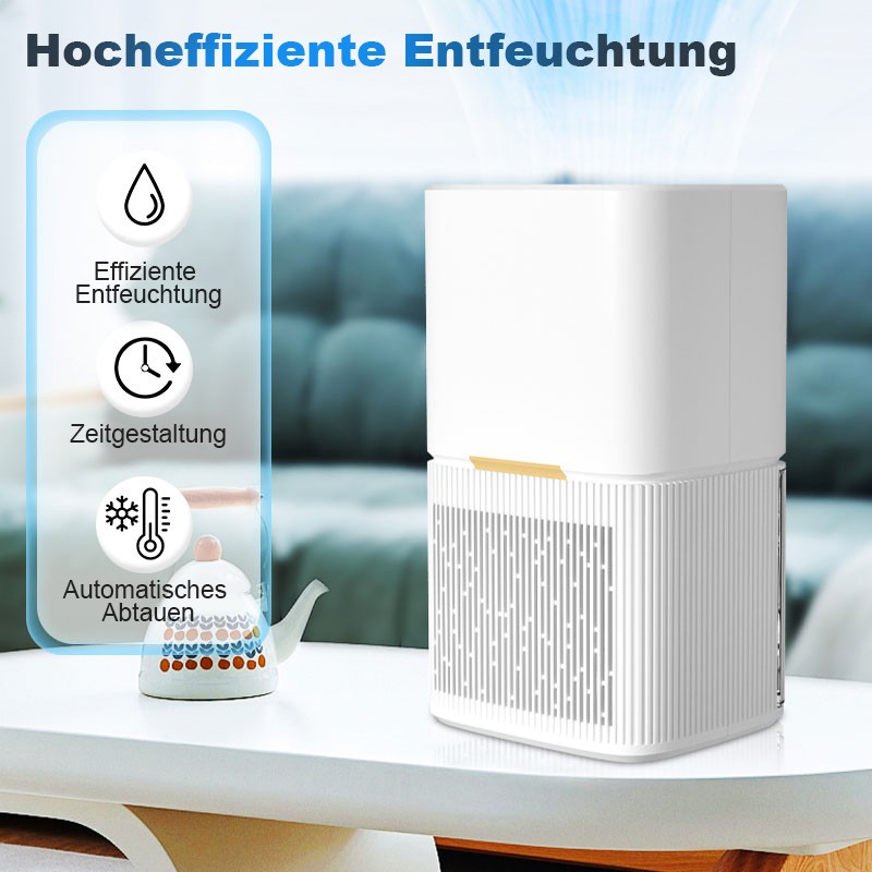 Bild 5 von 11