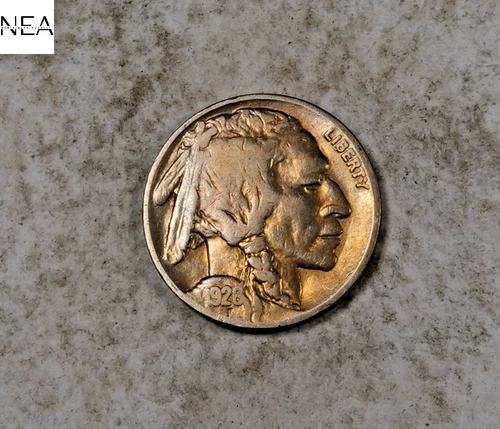 1926 Buffalo Nickel ~ Very Fine VF Toned ~ZBL306