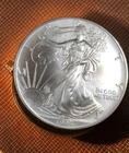 1995 SILVER EAGLE ~ ONE OF THE RARE ONES~ CK OUT THE PHOTOS - SNAG IT NOW!