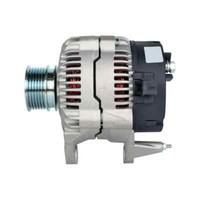 Hella 8EL 012 428-001 Generator FüR VW Golf IV (1J1)