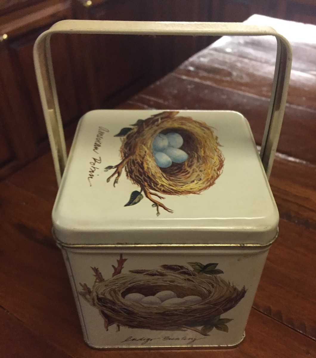 D.・Birds nest＊Ｂ＆Ｇmodel master◇希少◇ Christmas Bird Nest Specimen/robin's Nest/genuine Nature Curiosity