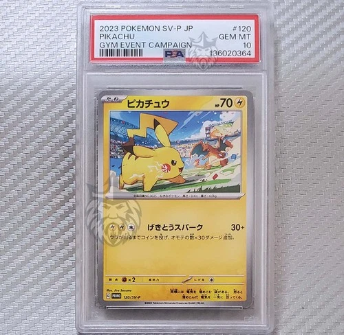 Pikachu (Charizard) PSA 10 📈 2023 Pokemon Gym Event Campaign Promo JP 120/SV-P