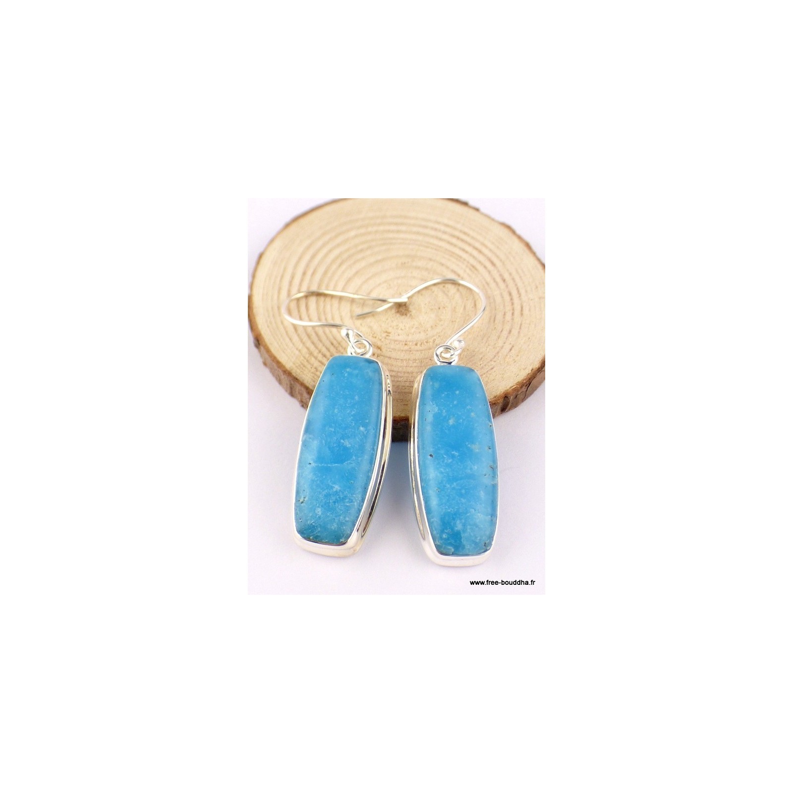 Boucles d'oreilles Smithsonite rectangulaires TUV49.1 pendantes en pierre fine véritable