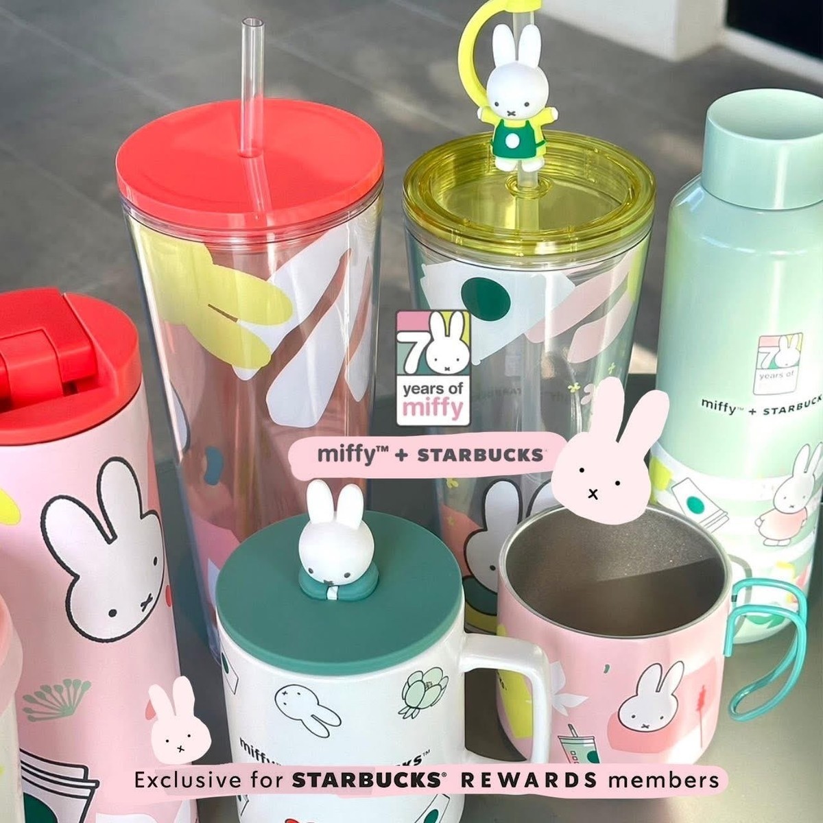 Starbucks Miffy 70th Anniversary Edition Mug / Cup / Tumbler / Bag