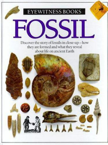 Fossil; Eyewitness Books - 0679804404, Paul D Taylor, hardcover