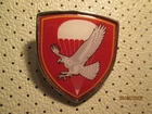 Serbia Air Force Special Unit Cap badge