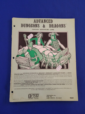 Permanent Character Folder and Adventure Records - AD&D 9029 (15 Sheets)