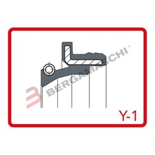 KIT GUARNIZIONI PARAPOLVERE FORCELLE ARIETE ARI.163 PER MOTO HONDA CRF 250 450