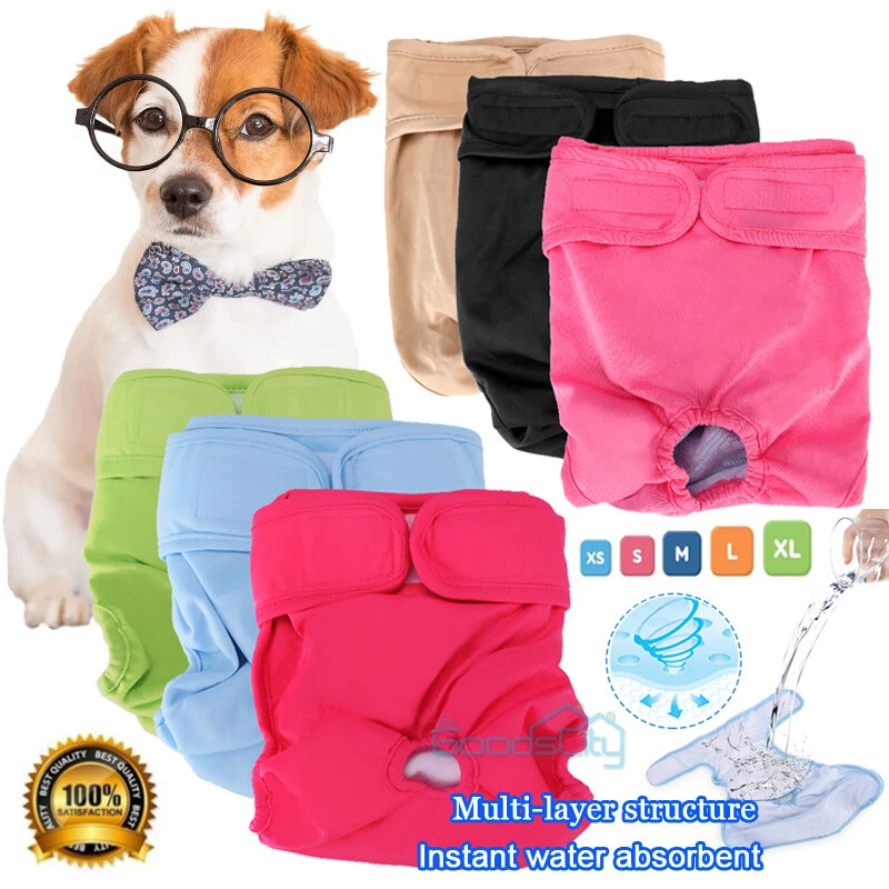 Do Belly Bands Work On Female Dogs