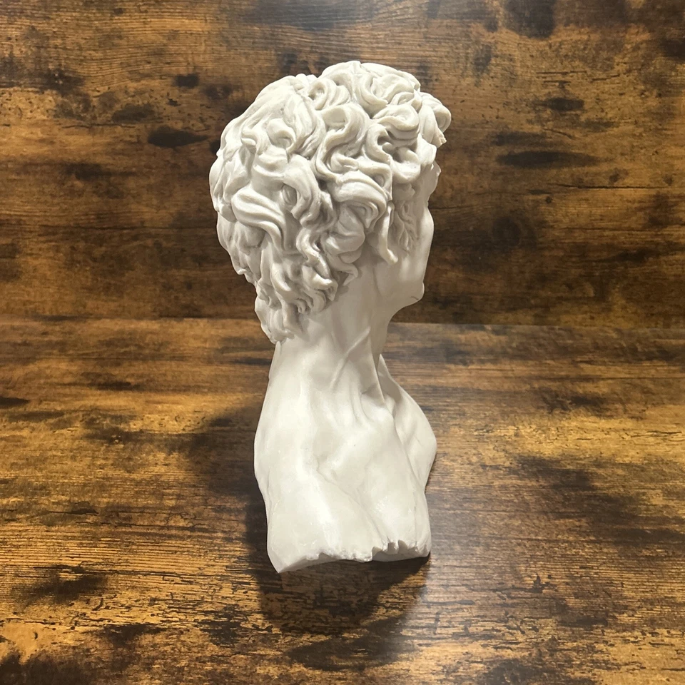 Estatua busto de David, decolina hecha a mano con aspecto de mármol Foto 3 de 4