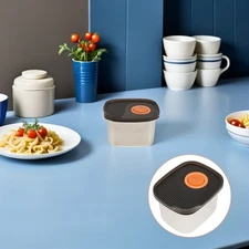  Bento Lunch Box Ice Storage Bin for Freezer Fresh- Keeping Container