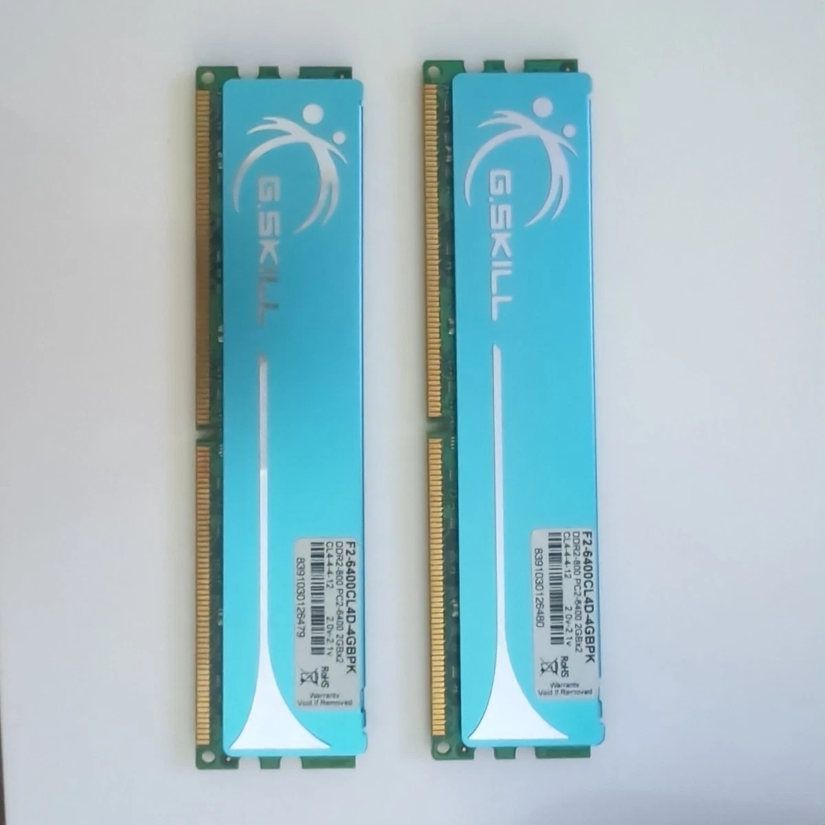 G. SKILL DDR2 SDRAM Computer 4 GB Capacity per Module Memory (RAM