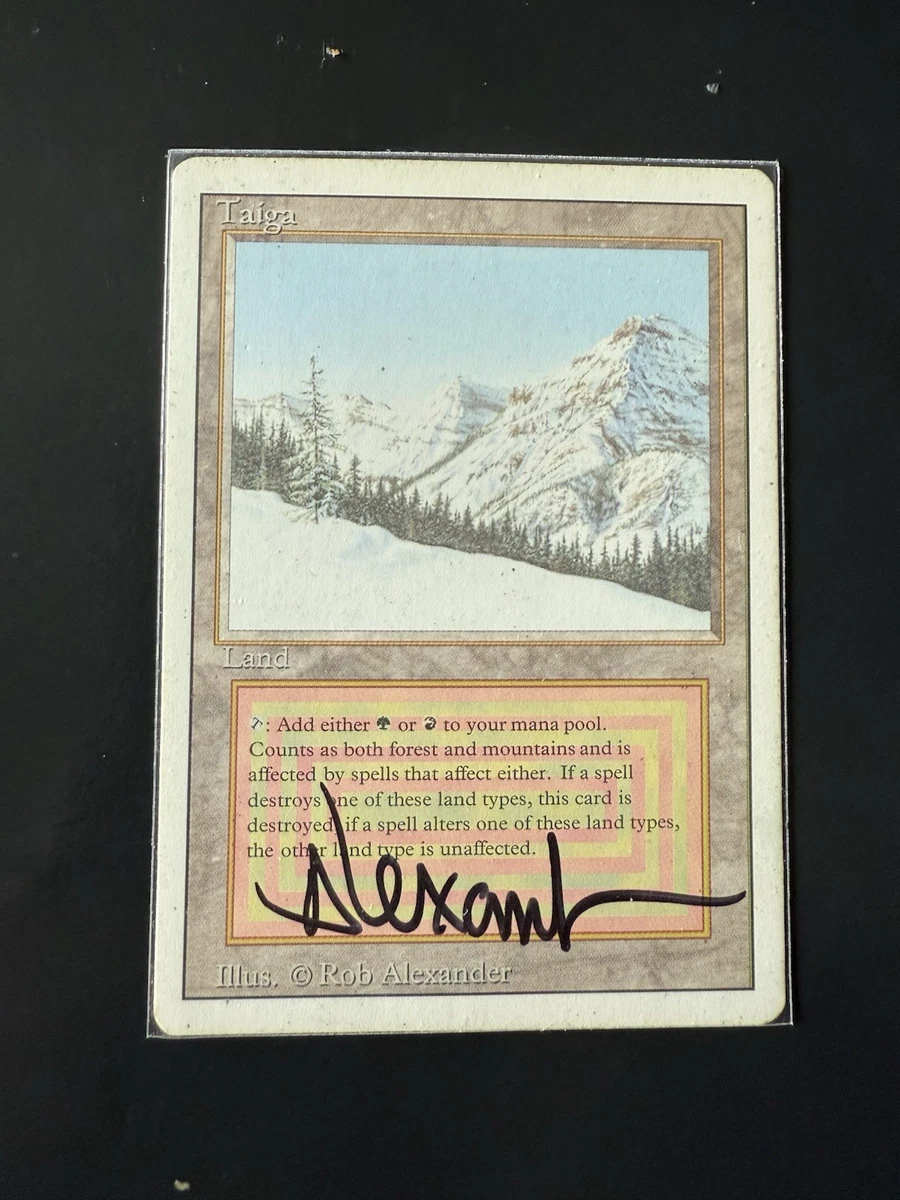 Taiga Magic: The Gathering Individual Trading Card Games for sale